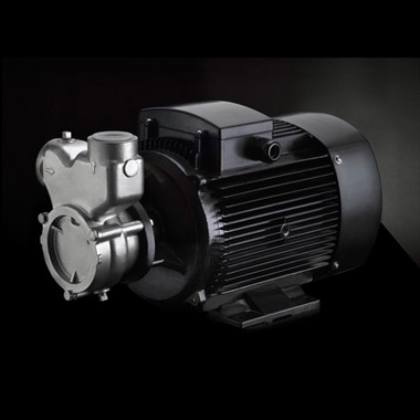 南方泵業(yè)QY（B），QYL（B）不銹鋼自吸氣液混合泵